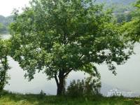 华洲御墅湾配套图图片