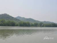 华洲御墅湾配套图图片